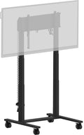 iiyama MD-CAR2031-B1 (MD-CAR2031-B1)